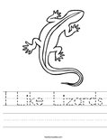 I Like Lizards Worksheet