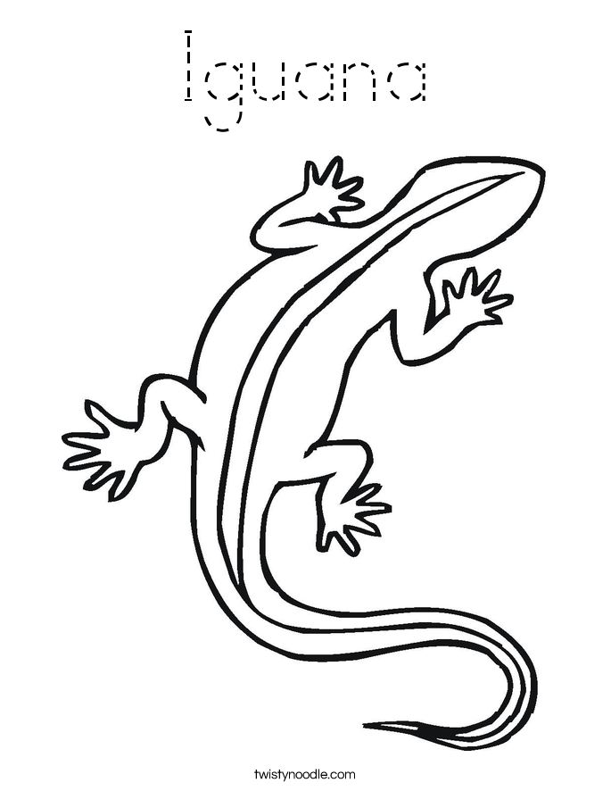 Iguana Coloring Page