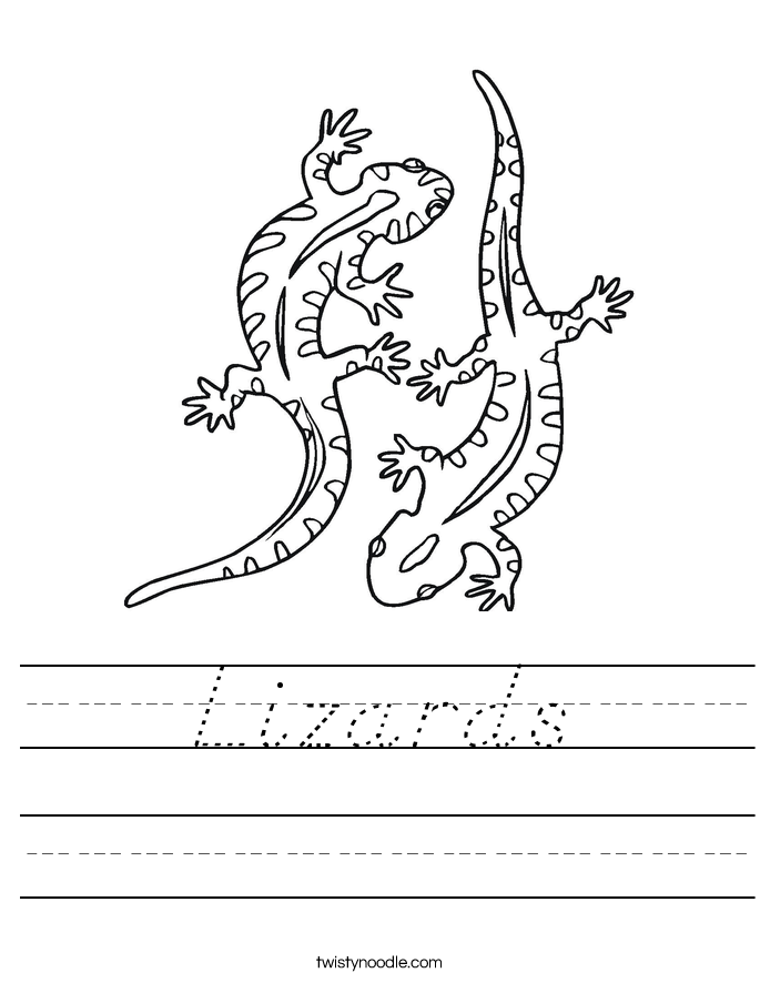 Lizards Worksheet