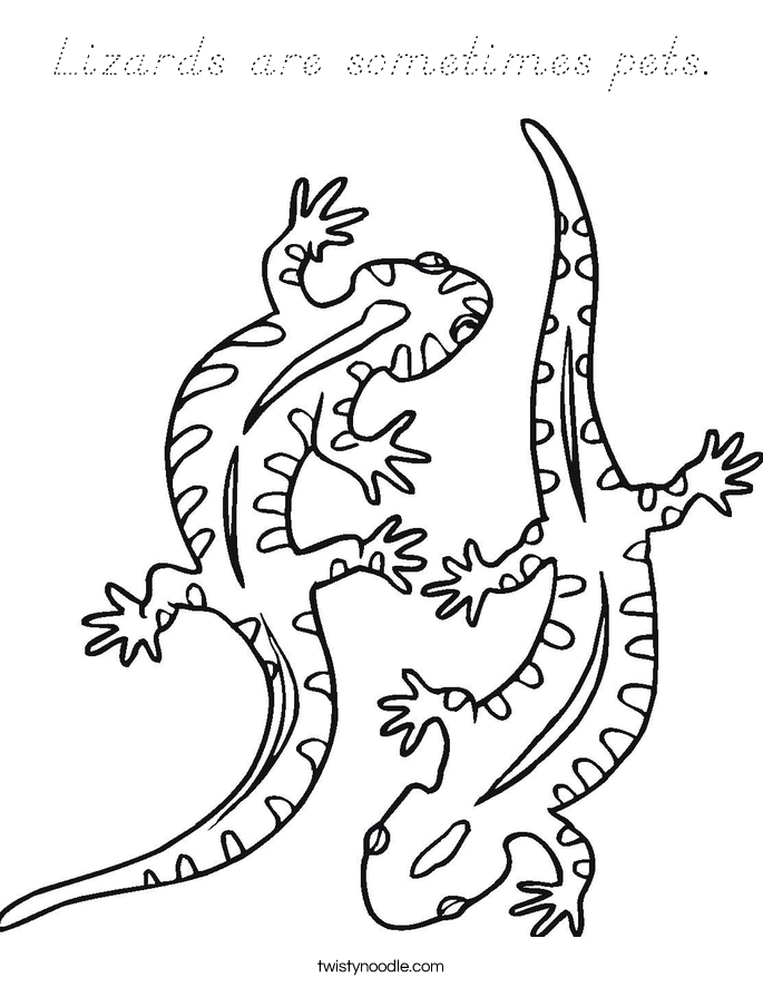 Lizards are sometimes pets. Coloring Page