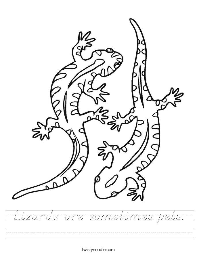 Lizards are sometimes pets. Worksheet