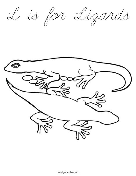 Pair of Lizards Coloring Page