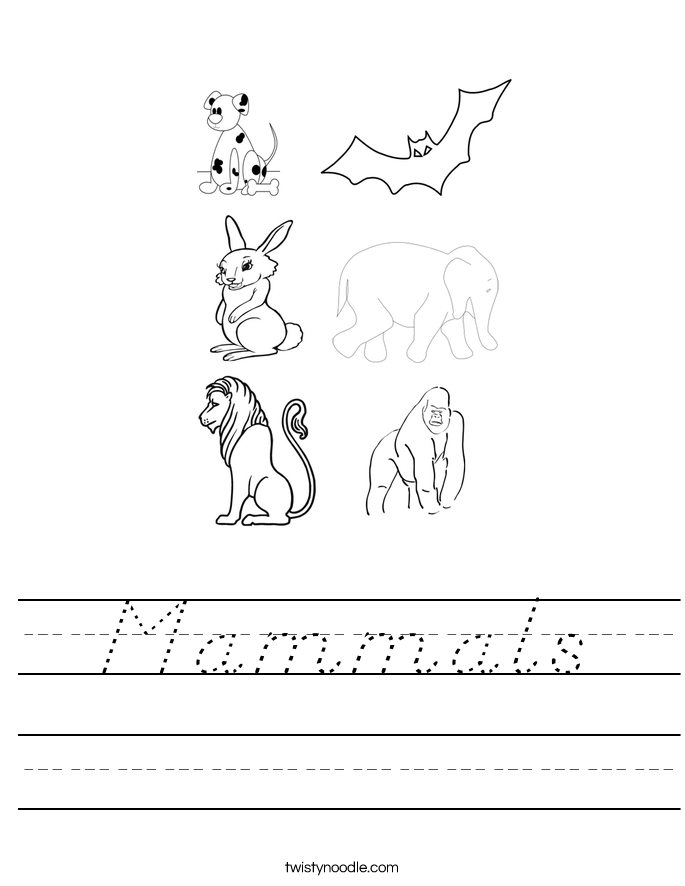 Mammals Worksheet