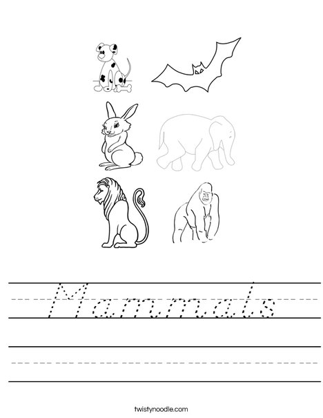 Mammals Worksheet