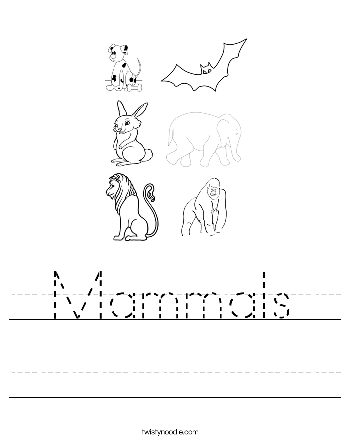 Mammals Worksheet Twisty Noodle