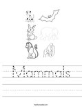 Mammals Worksheet