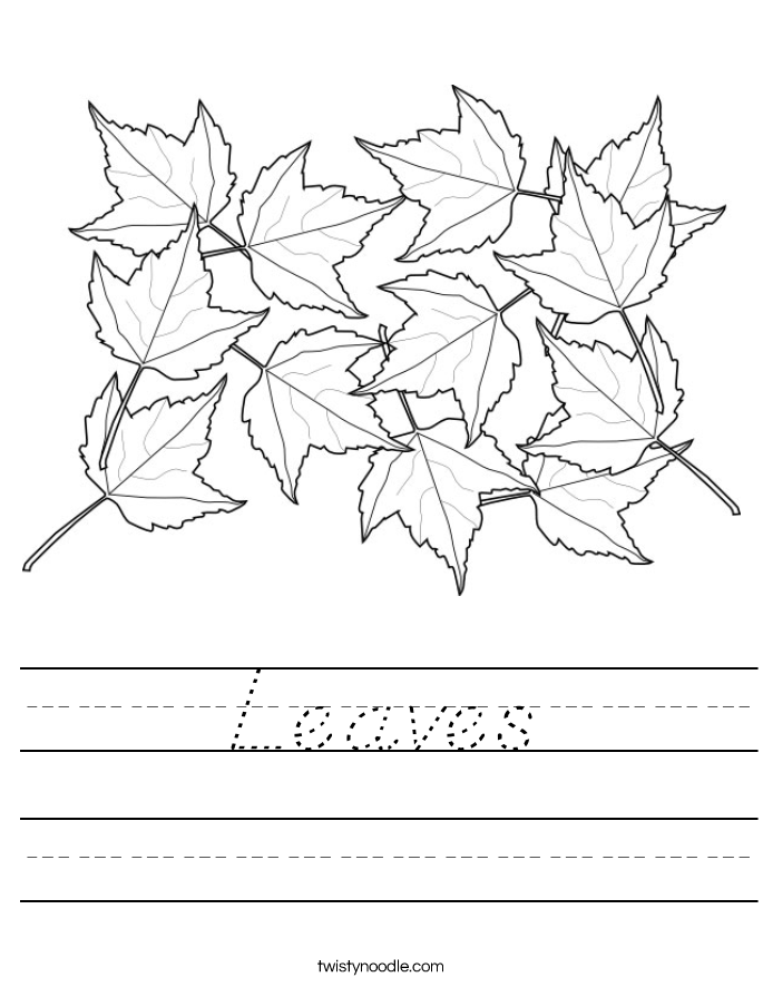 Leaves Worksheet