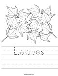 Leaves Worksheet