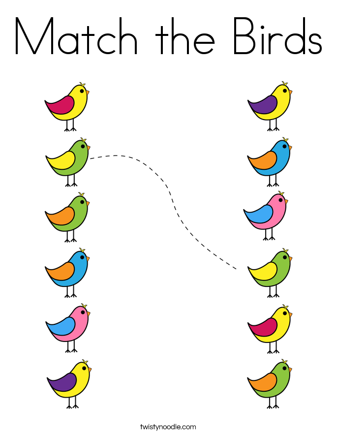 Match the Birds Coloring Page