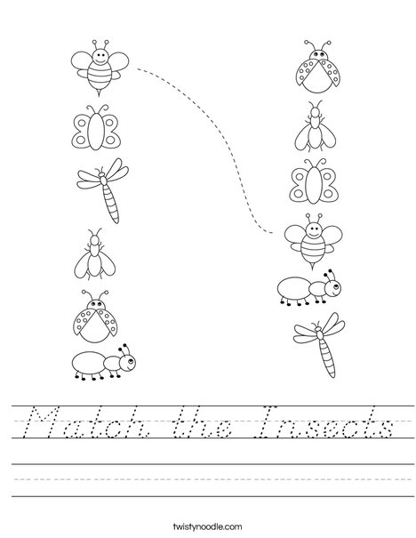 Match the Insects Worksheet
