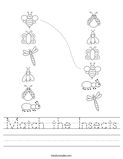 Match the Insects Worksheet - Twisty Noodle