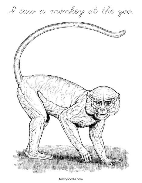 Realistic Monkey Coloring Page