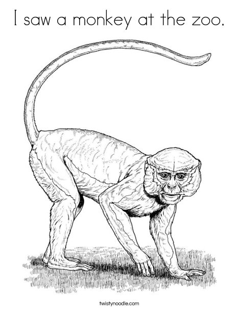 Realistic Monkey Coloring Page