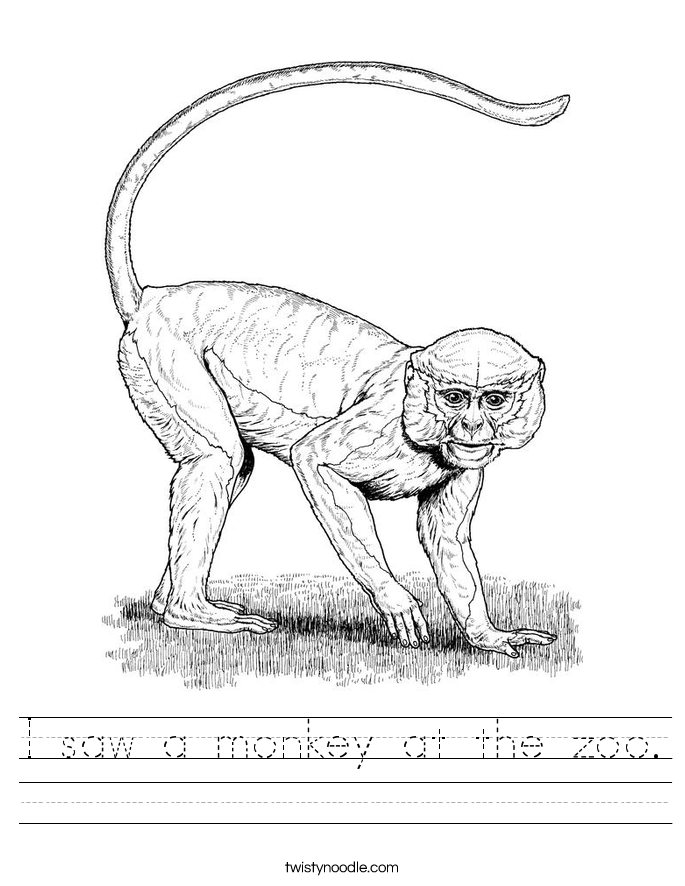 I saw a monkey at the zoo. Worksheet