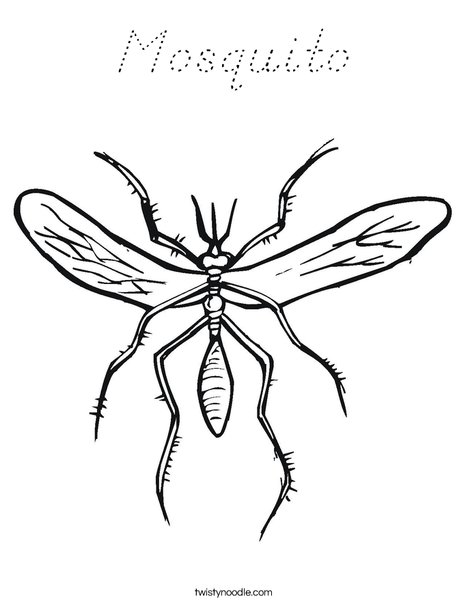 Mosquito Coloring Page