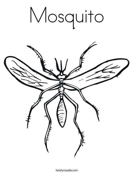 mosquito coloring page twisty noodle