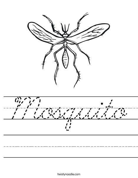 Mosquito Worksheet