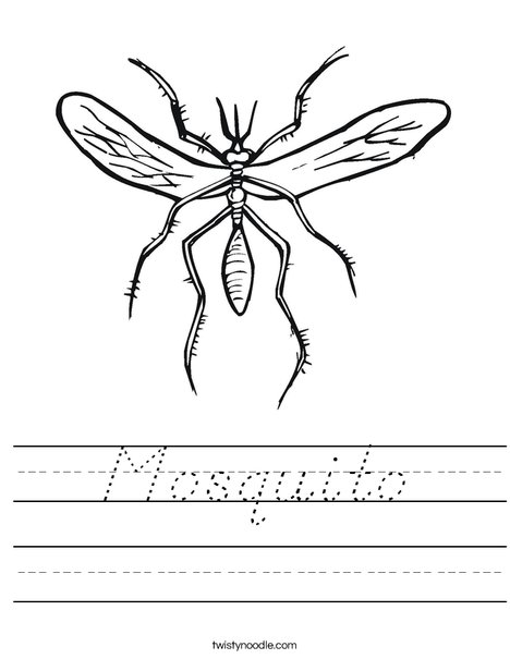 Mosquito Worksheet