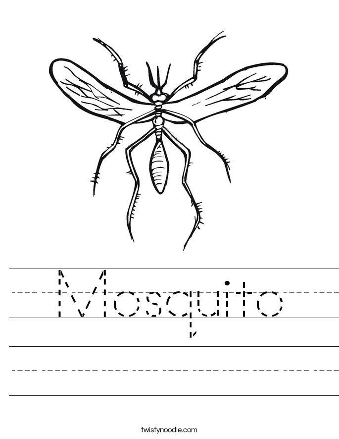 Mosquito Worksheet