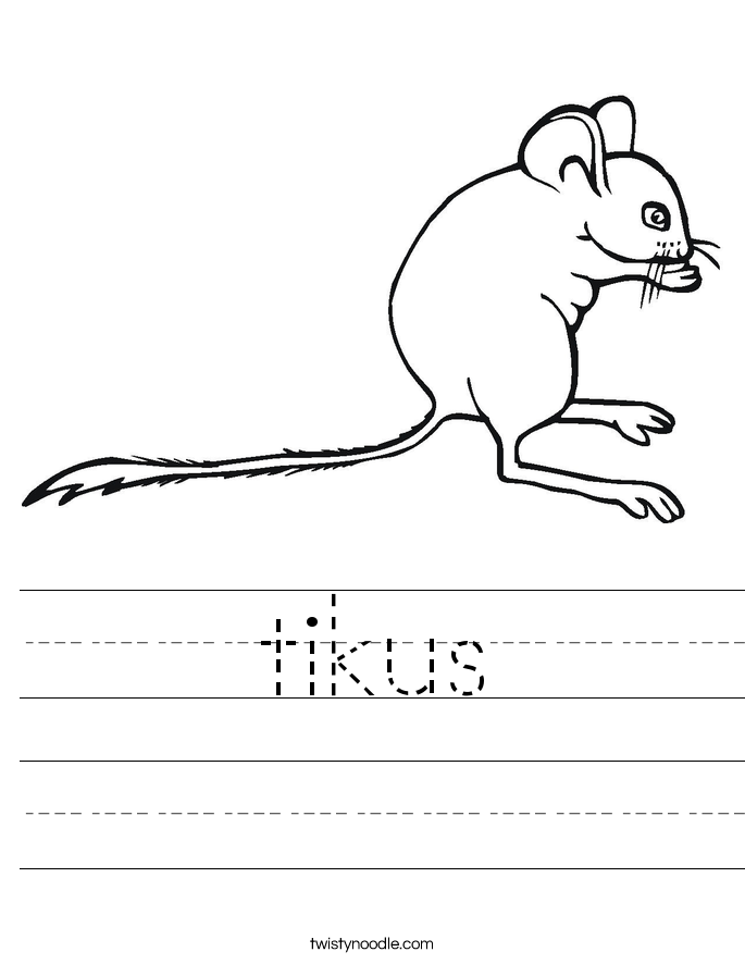 tikus Worksheet