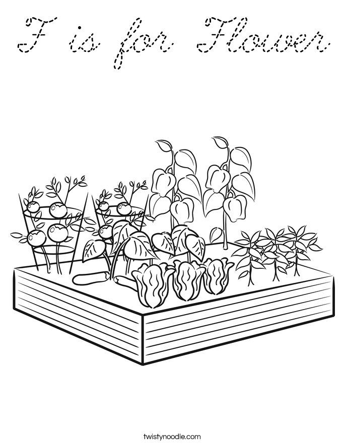  Coloring Page