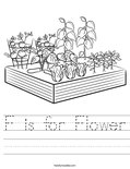 F is for Flower Worksheet