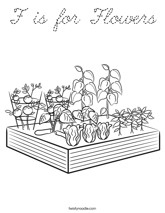  Coloring Page