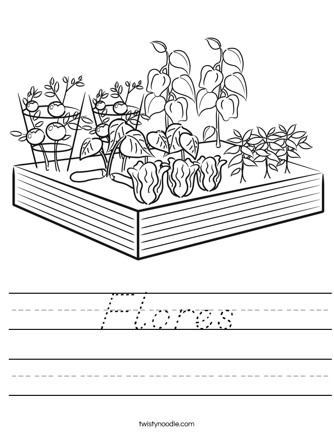 Flores Worksheet