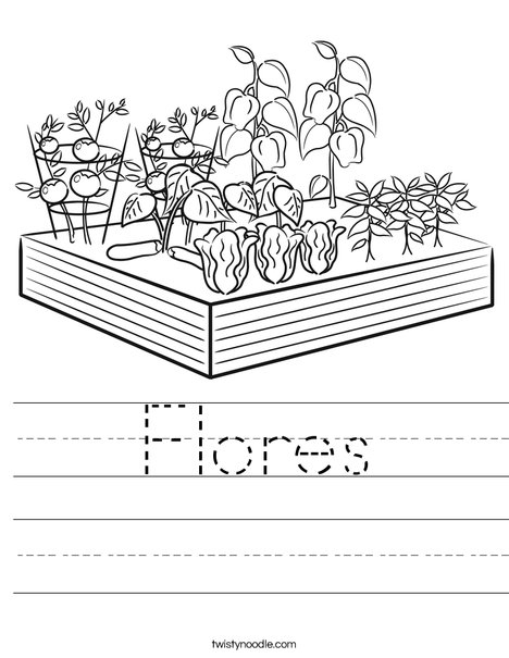 Garden Worksheet