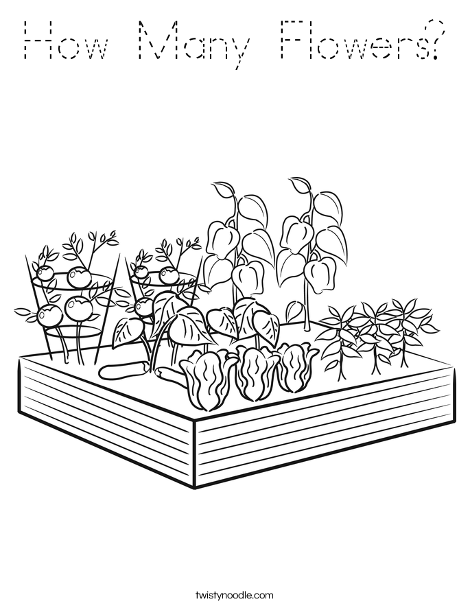 How Many Flowers? Coloring Page