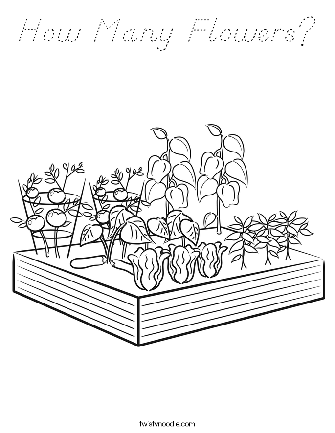 How Many Flowers? Coloring Page