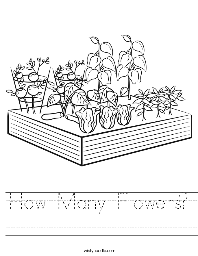 How Many Flowers? Worksheet