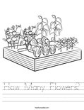 How Many Flowers? Worksheet