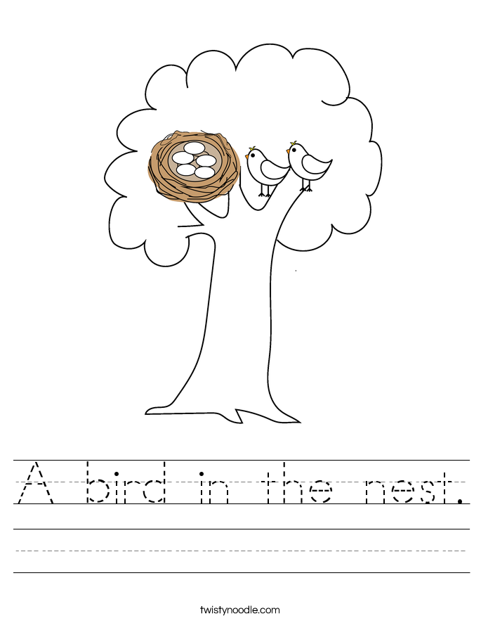 A bird in the nest. Worksheet