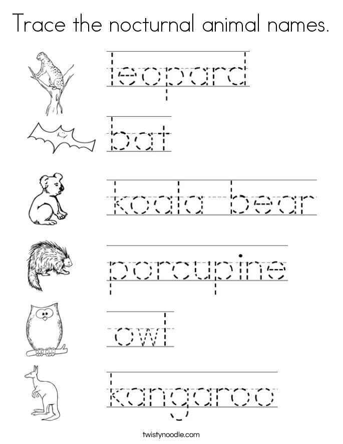 Trace the nocturnal animal names. Coloring Page