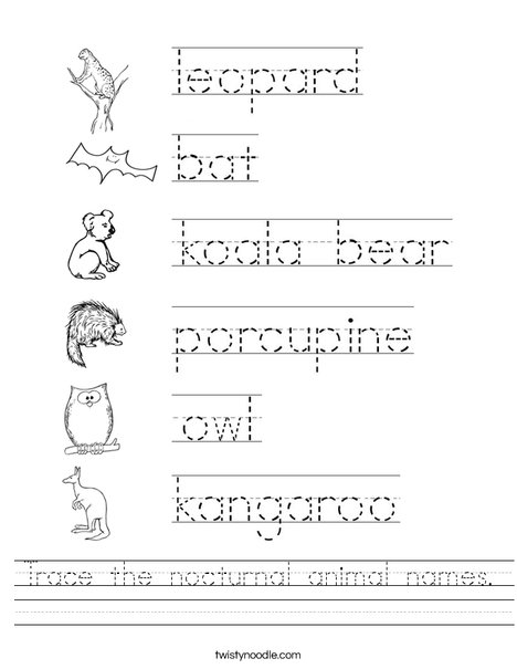 trace-the-nocturnal-animal-names-worksheet-twisty-noodle