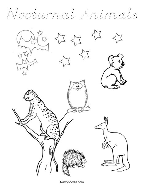 Nocturnal Animals Coloring Page
