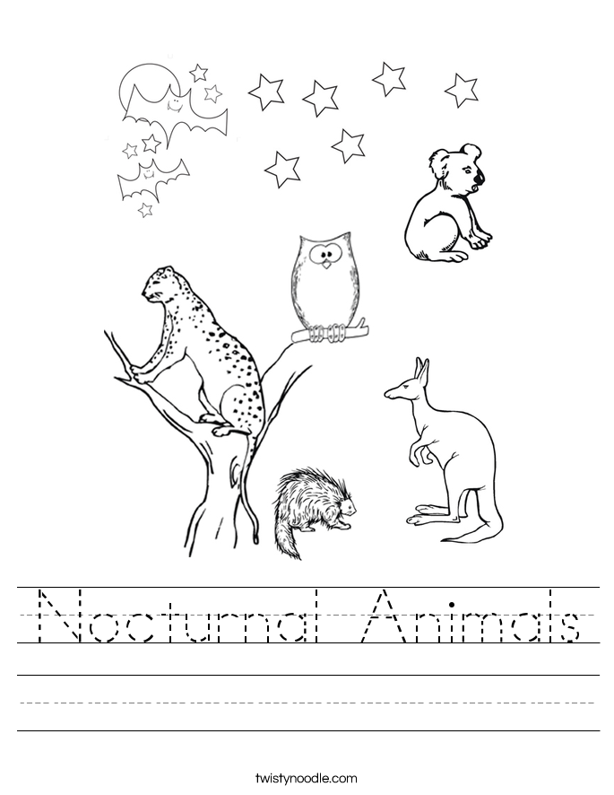 Free Printable Nocturnal Animals Worksheets