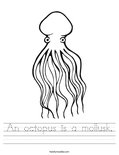 An octopus is a mollusk. Worksheet