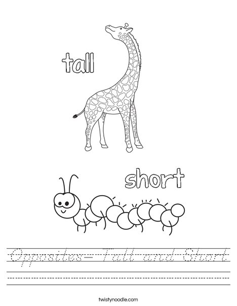Opposites- Tall and Short Worksheet