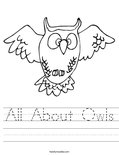 All About Owls Worksheet