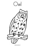 OwlColoring Page