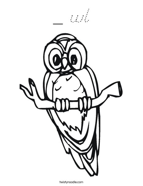 Owl on a Branch Coloring Page