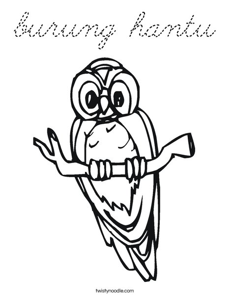 Owl on a Branch Coloring Page