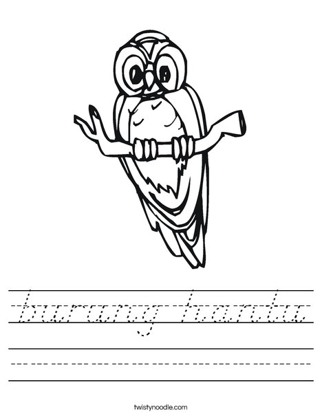 Owl on a Branch Worksheet