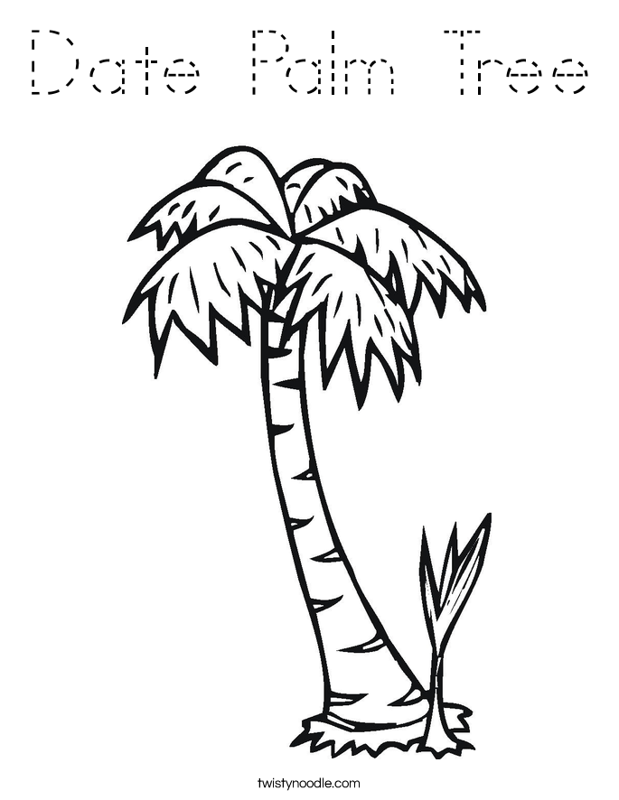 Date Palm Tree Coloring Page