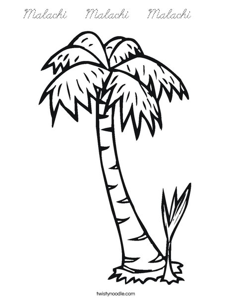 Palm Tree Coloring Page