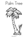Palm TreeColoring Page