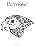 Parrakeet Coloring Page