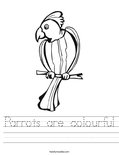 Parrots are colourful Worksheet